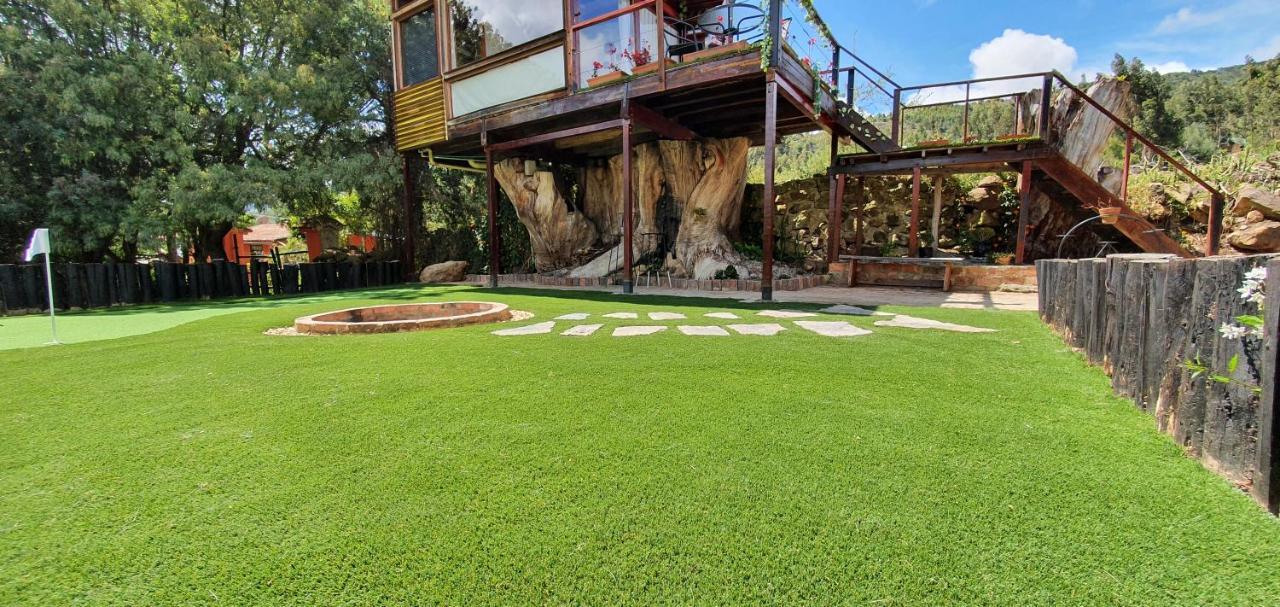 Вилла Casa En El Arbol Суэска Экстерьер фото