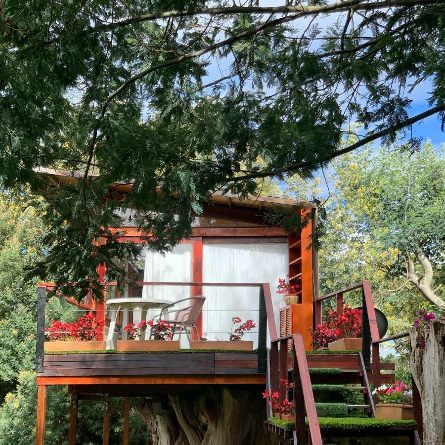 Вилла Casa En El Arbol Суэска Экстерьер фото